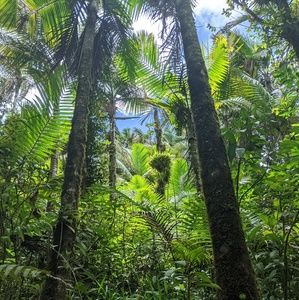 Meet your Posher, Elle